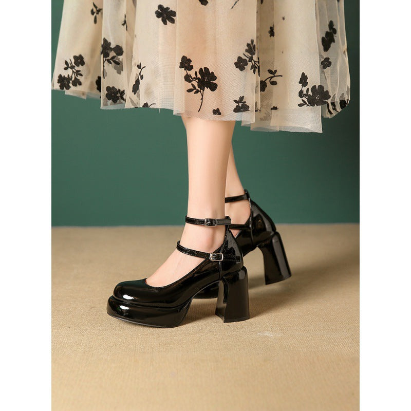 Women's Shoes With Mary Jane 2025 Spring And Autumn Dress Thick Heel Platform Shoes Small Red High Heels