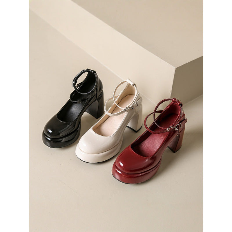 Women&#039;s Shoes With Mary Jane 2025 Spring And Autumn Dress Thick Heel Platform Shoes Small Red High Heels